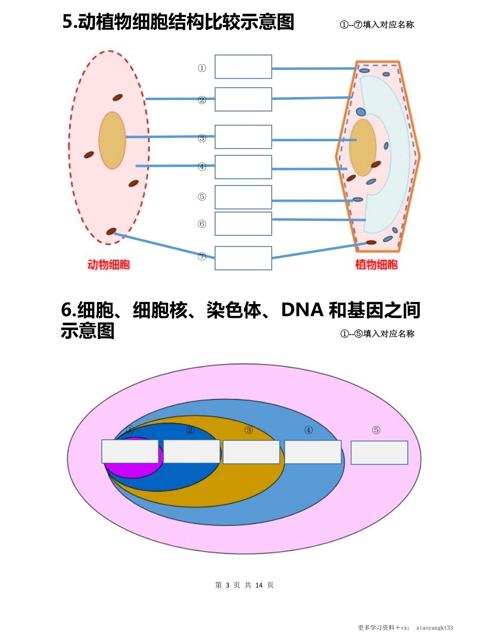 初中生物会考白地图七年级上册.pdf_第3页