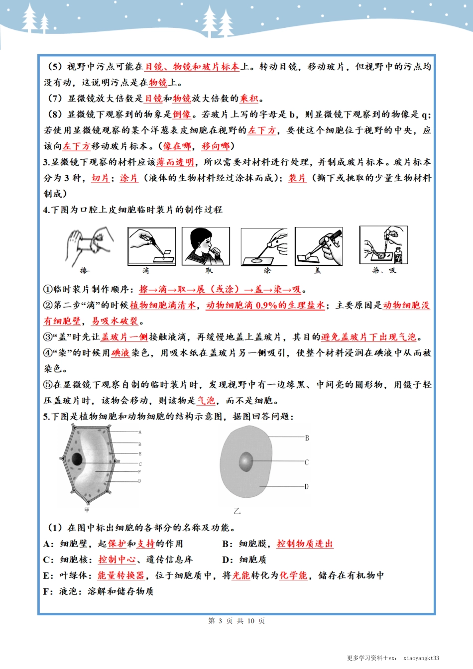 七上生物知识点汇总（填空答案版）.pdf_第3页