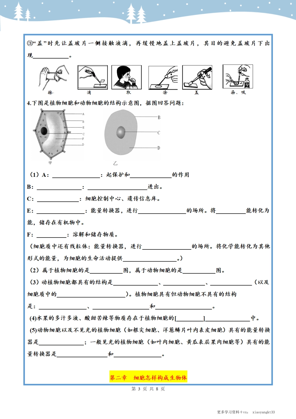 七上生物知识点汇总（填空自检版）.pdf_第3页