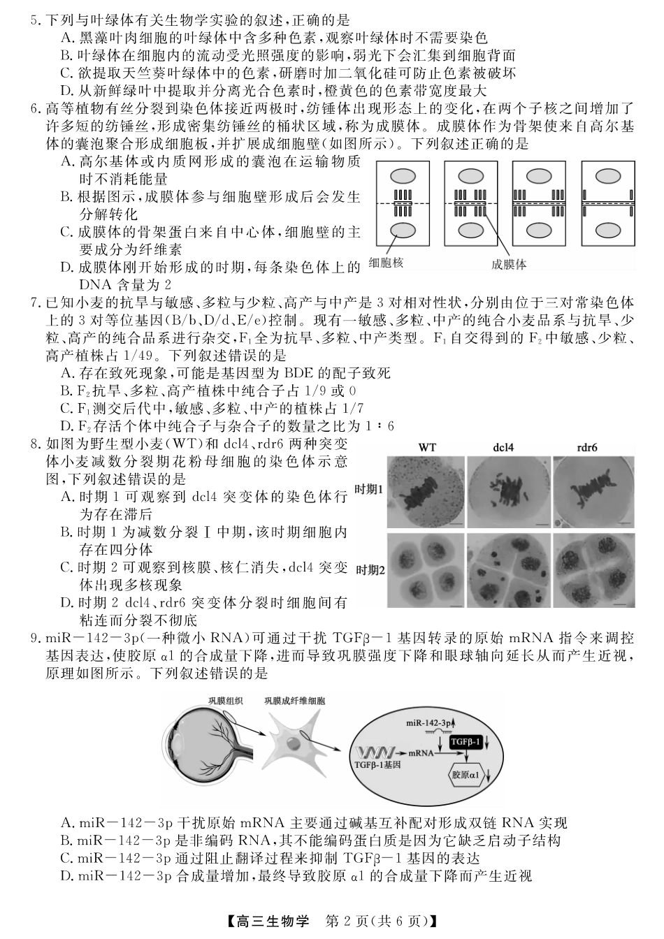 河南省金科新未来大联考2024-2025学年高三上学期11月生物试题.pdf_第2页