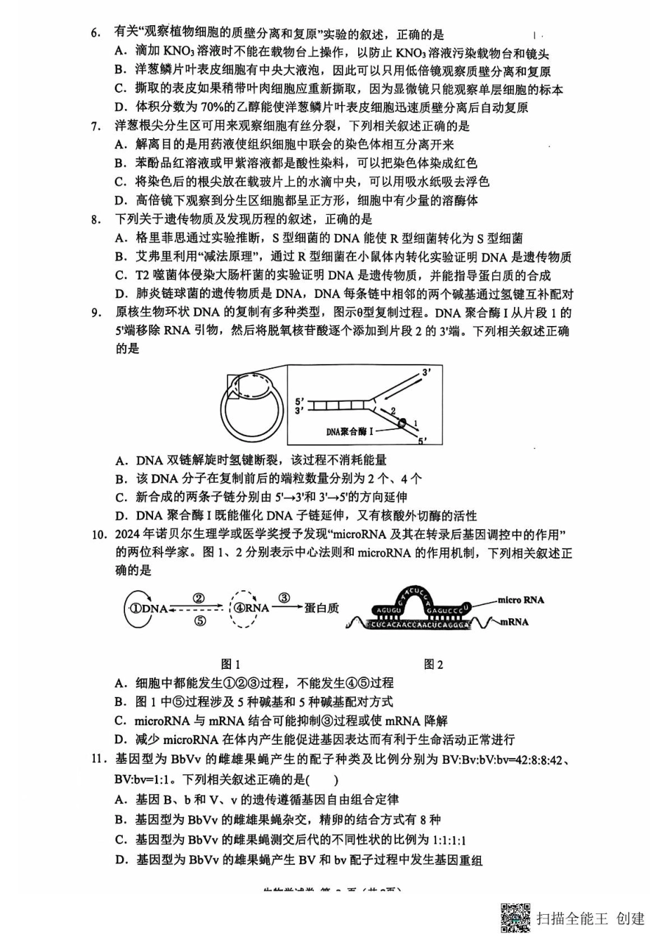 江苏省连云港市2024-2025学年高三第一学期期中调研考试生物试题.pdf_第2页