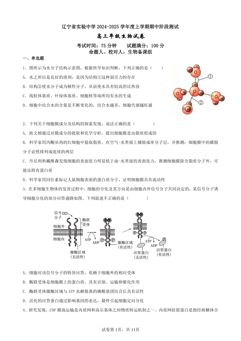 辽宁省实验中学2024-2025学年高三上学期期中考试生物试题.pdf_第1页