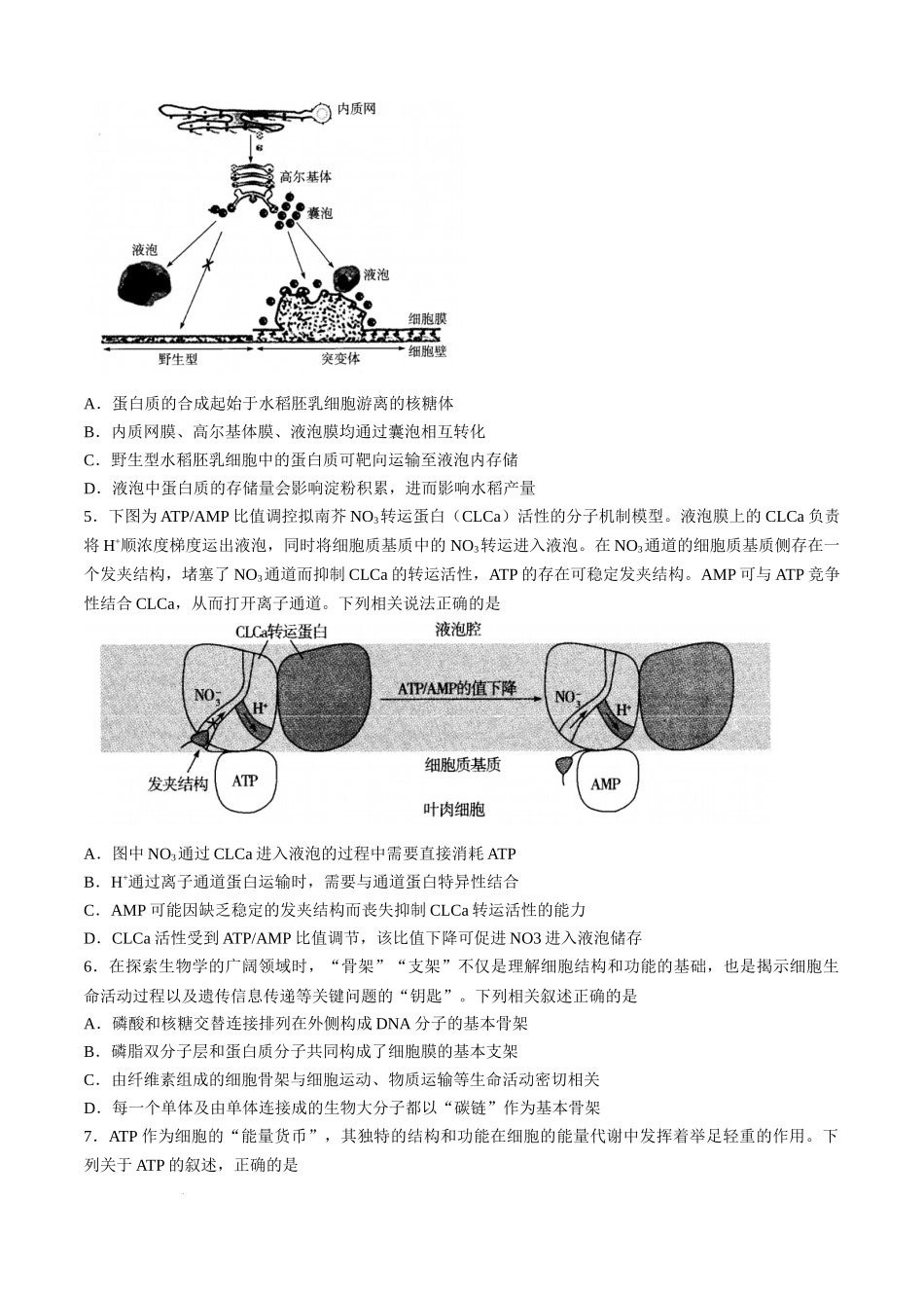 山西省部分学校2024-2025学年高三上学期学情监测生物试题.docx_第2页