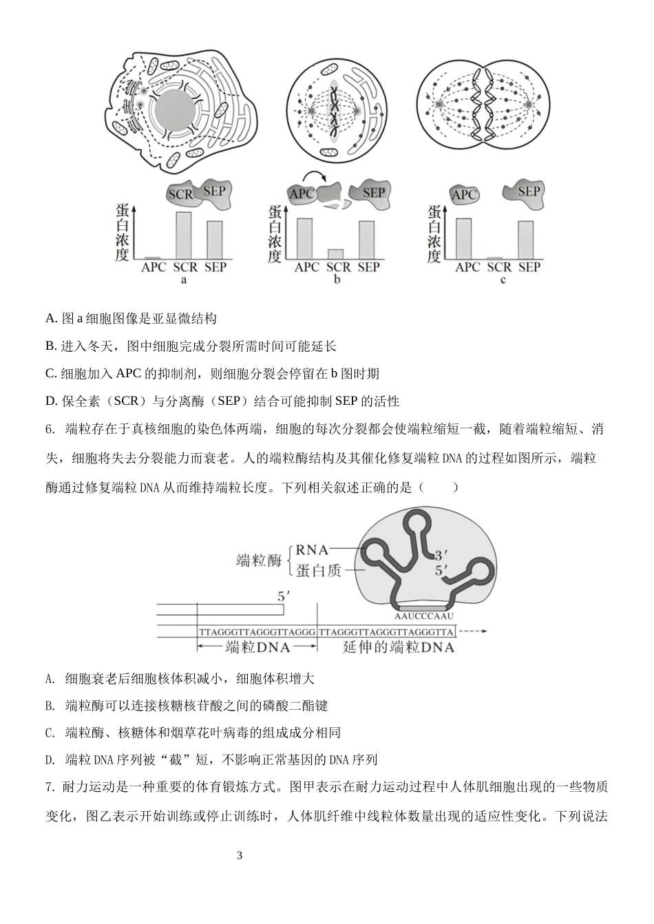 云南省玉溪市一中2024-2025学年高三上学期期中考试生物含答案.docx_第3页