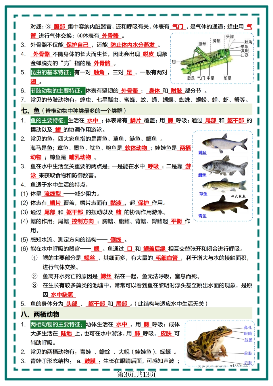 【人教生物】期末复习核心知识点总结.pdf_第3页