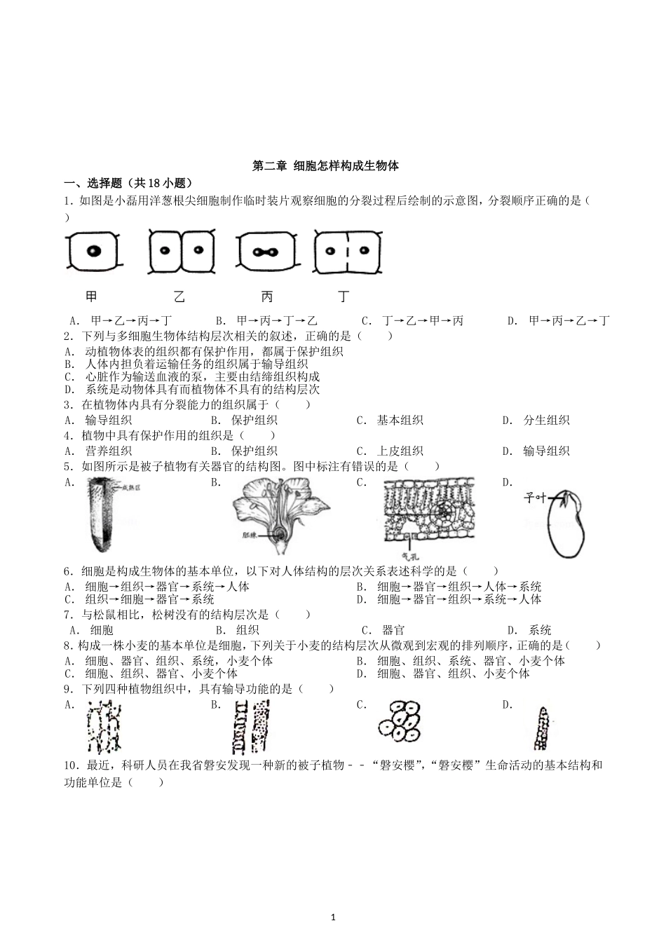 初中生物七年级上人教版单元检测2卷2.2细胞怎样构成生物体.doc_第1页