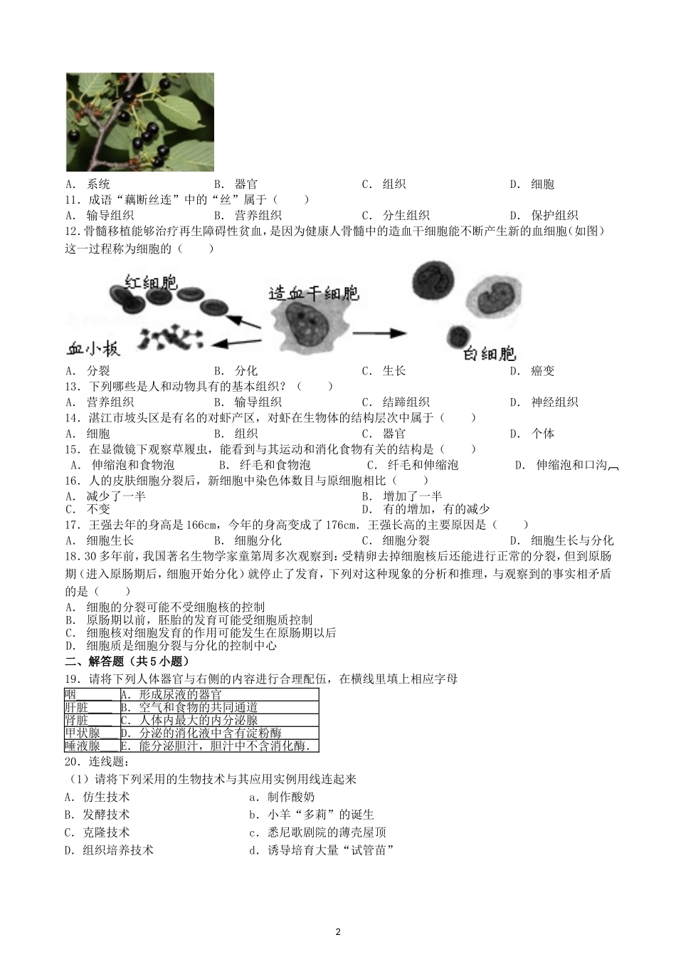 初中生物七年级上人教版单元检测2卷2.2细胞怎样构成生物体.doc_第2页
