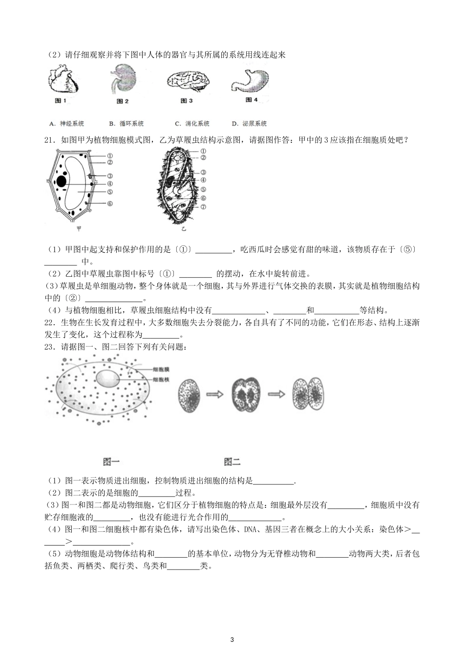 初中生物七年级上人教版单元检测2卷2.2细胞怎样构成生物体.doc_第3页