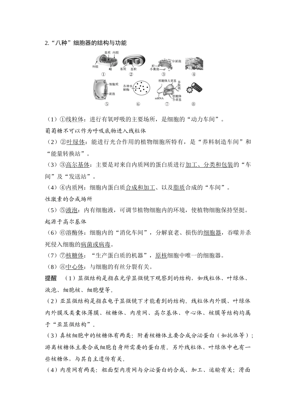 第5讲 细胞器与生物膜系统-高考生物一轮复习讲义（通用版）.docx_第2页