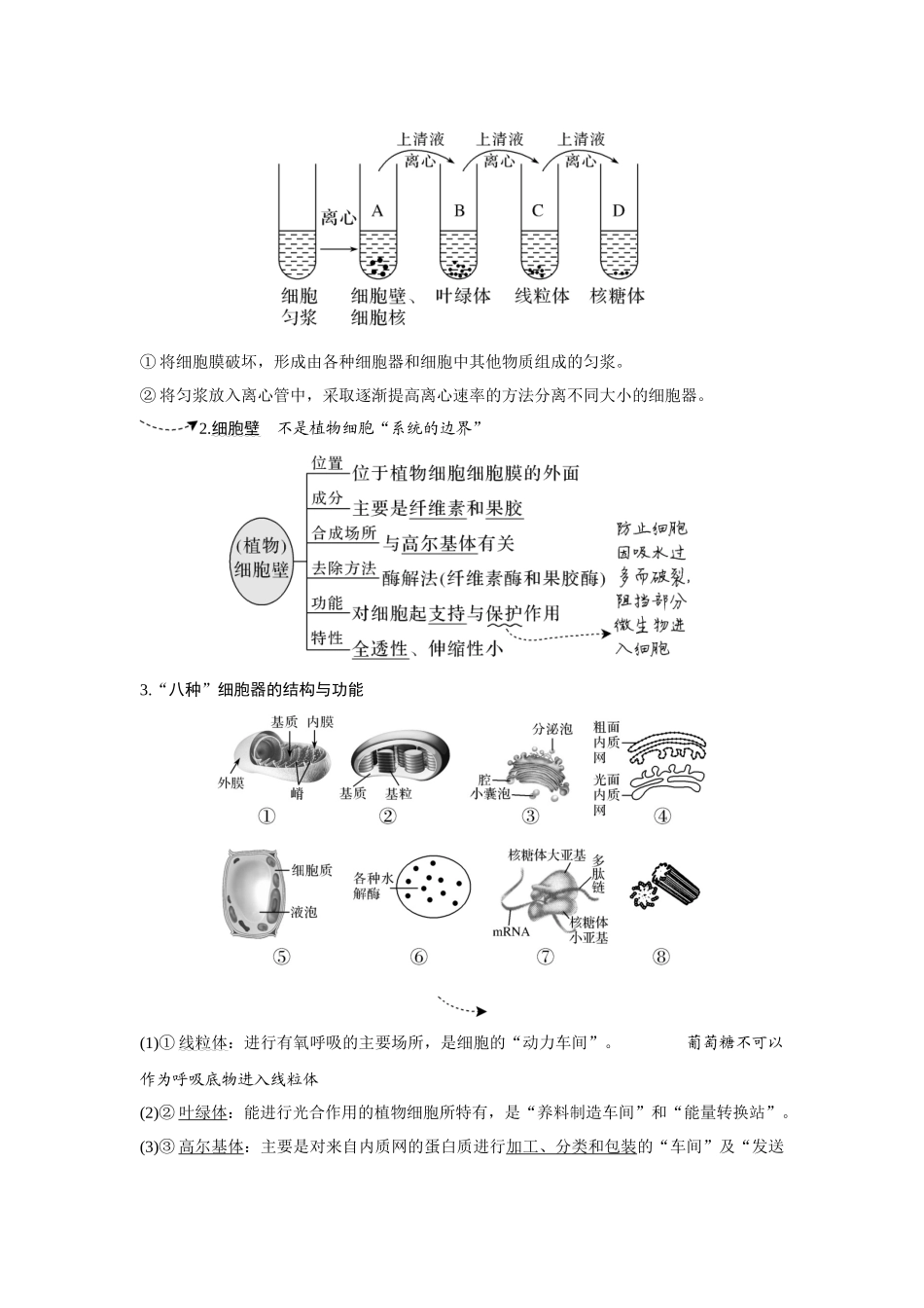 第5讲　细胞器之间的分工合作-高考生物一轮复习讲义（新高考版）.docx_第2页