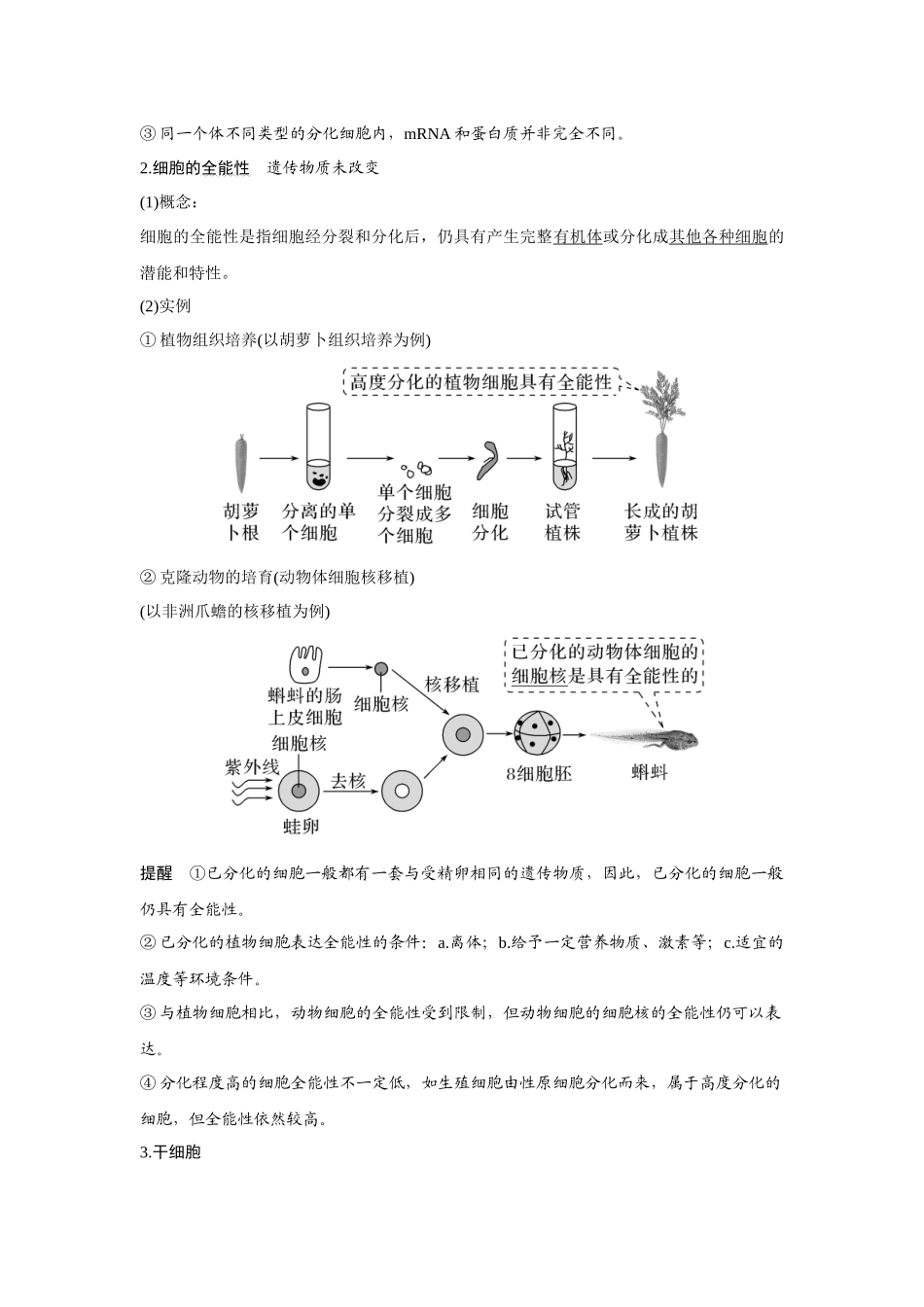 第12讲　细胞的分化、衰老和死亡-高考生物一轮复习讲义（新高考版）.docx_第2页