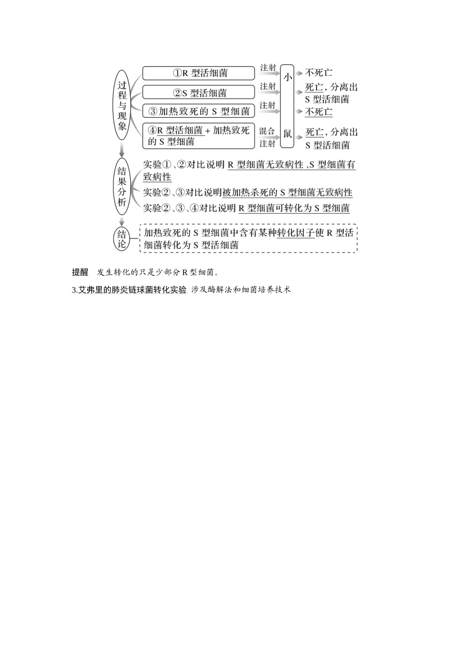 第16讲　人类对遗传物质的探索过程-高考生物一轮复习讲义（新高考版）.docx_第2页