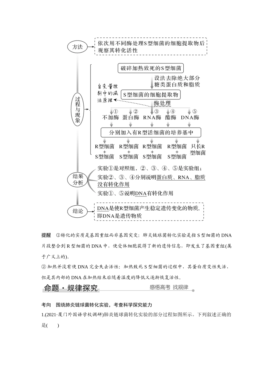 第16讲　人类对遗传物质的探索过程-高考生物一轮复习讲义（新高考版）.docx_第3页