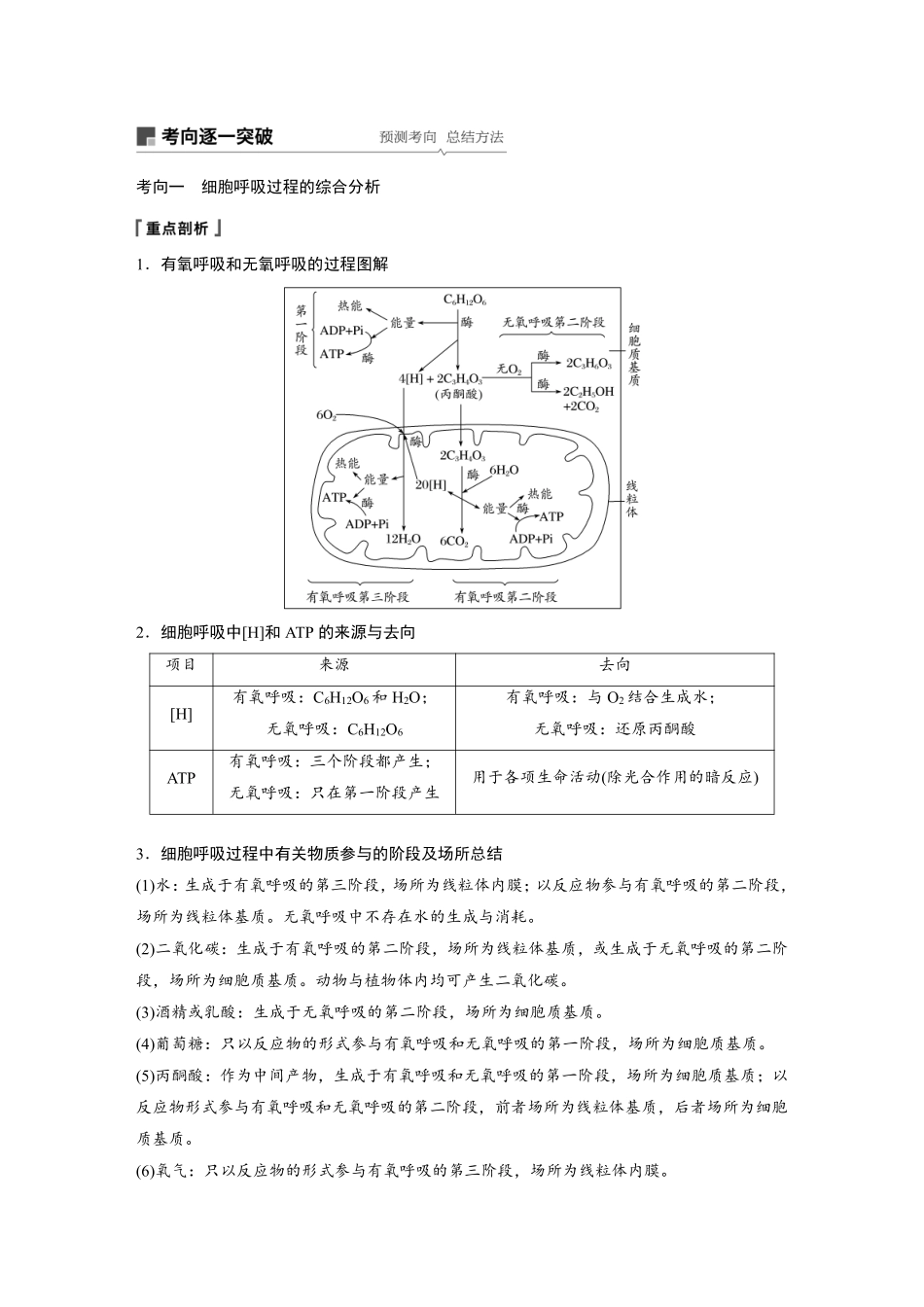 高考生物一轮复习讲义 第3单元 第8讲　细胞呼吸.pdf_第3页