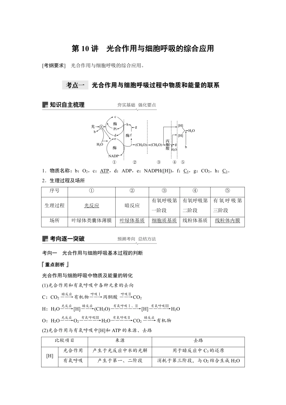 高考生物一轮复习讲义 第3单元 第10讲　光合作用与细胞呼吸的综合应用.pdf_第1页