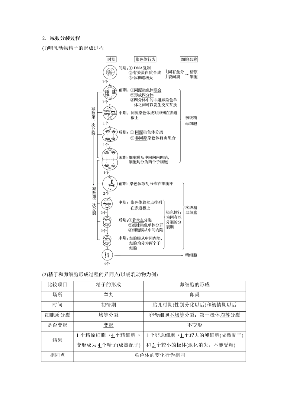 高考生物一轮复习讲义 第4单元 第12讲　减数分裂和受精作用.pdf_第2页