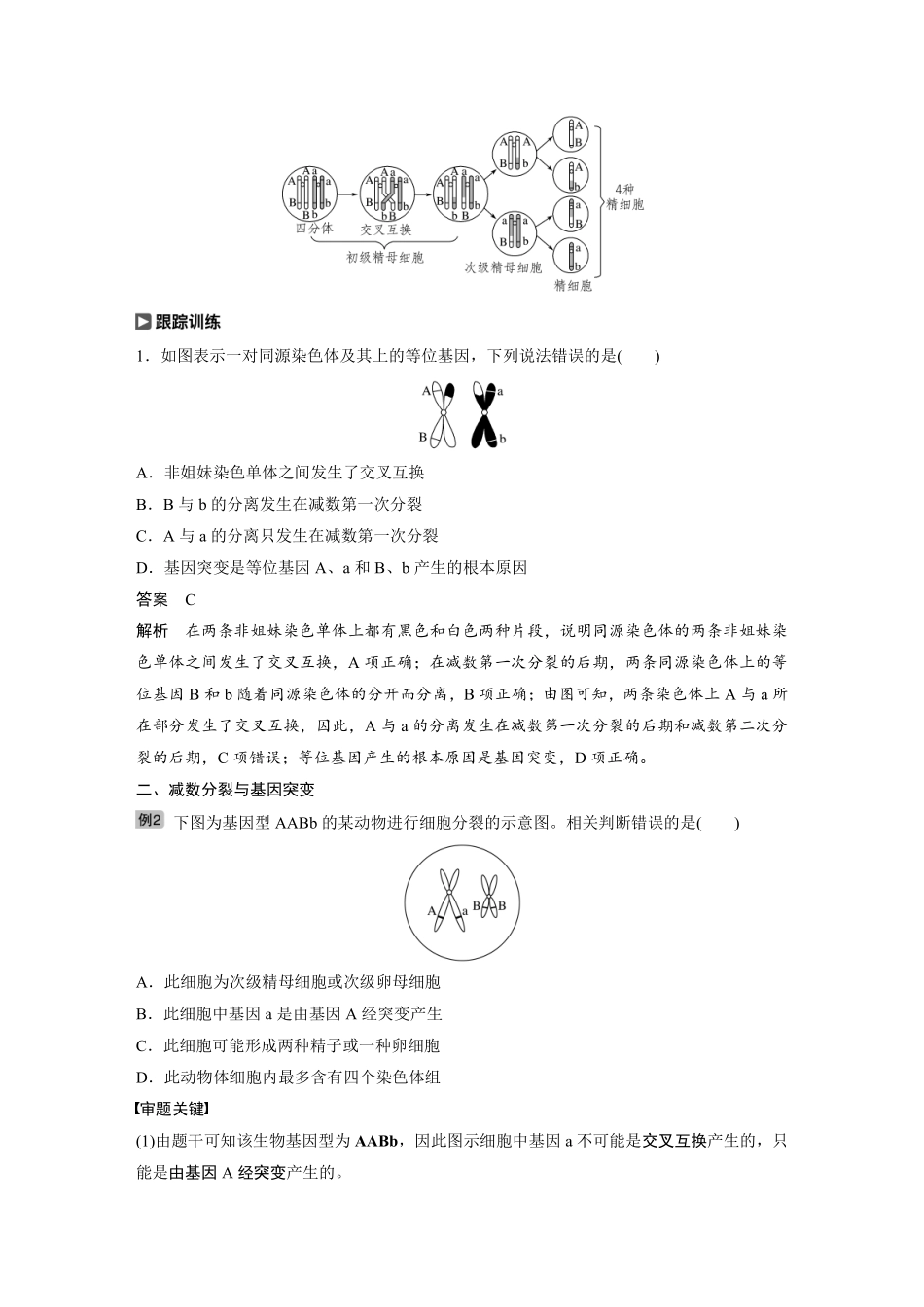 高考生物一轮复习讲义 第4单元 热点题型三  减数分裂与可遗传变异的关系分析.pdf_第2页