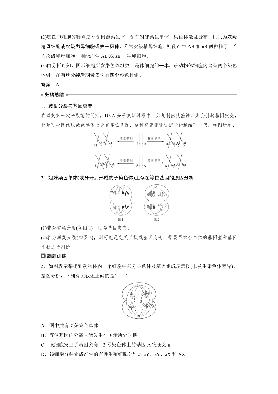 高考生物一轮复习讲义 第4单元 热点题型三  减数分裂与可遗传变异的关系分析.pdf_第3页