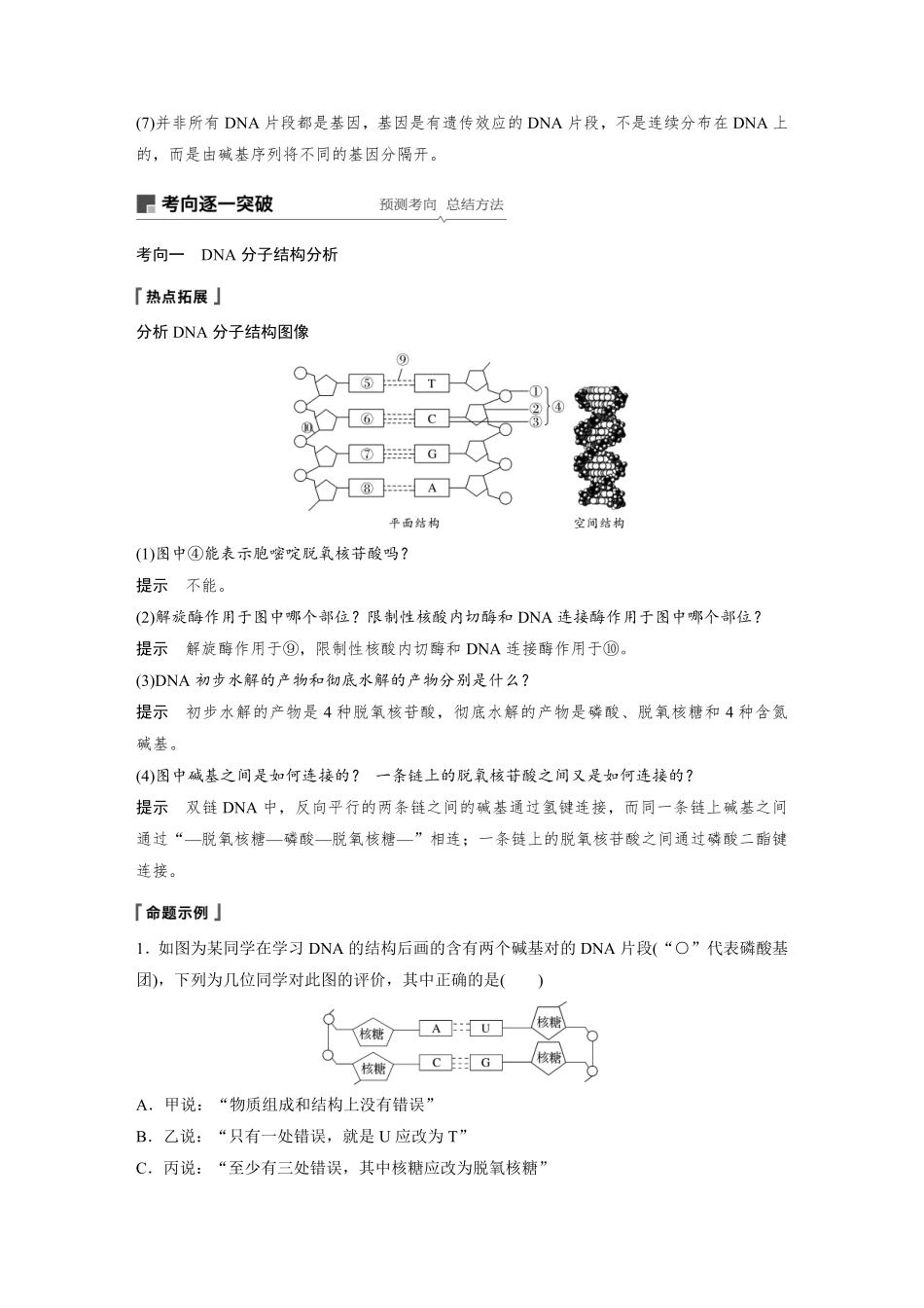 高考生物一轮复习讲义 第6单元 第18讲　DNA分子的结构、复制及基因的本质.pdf_第3页