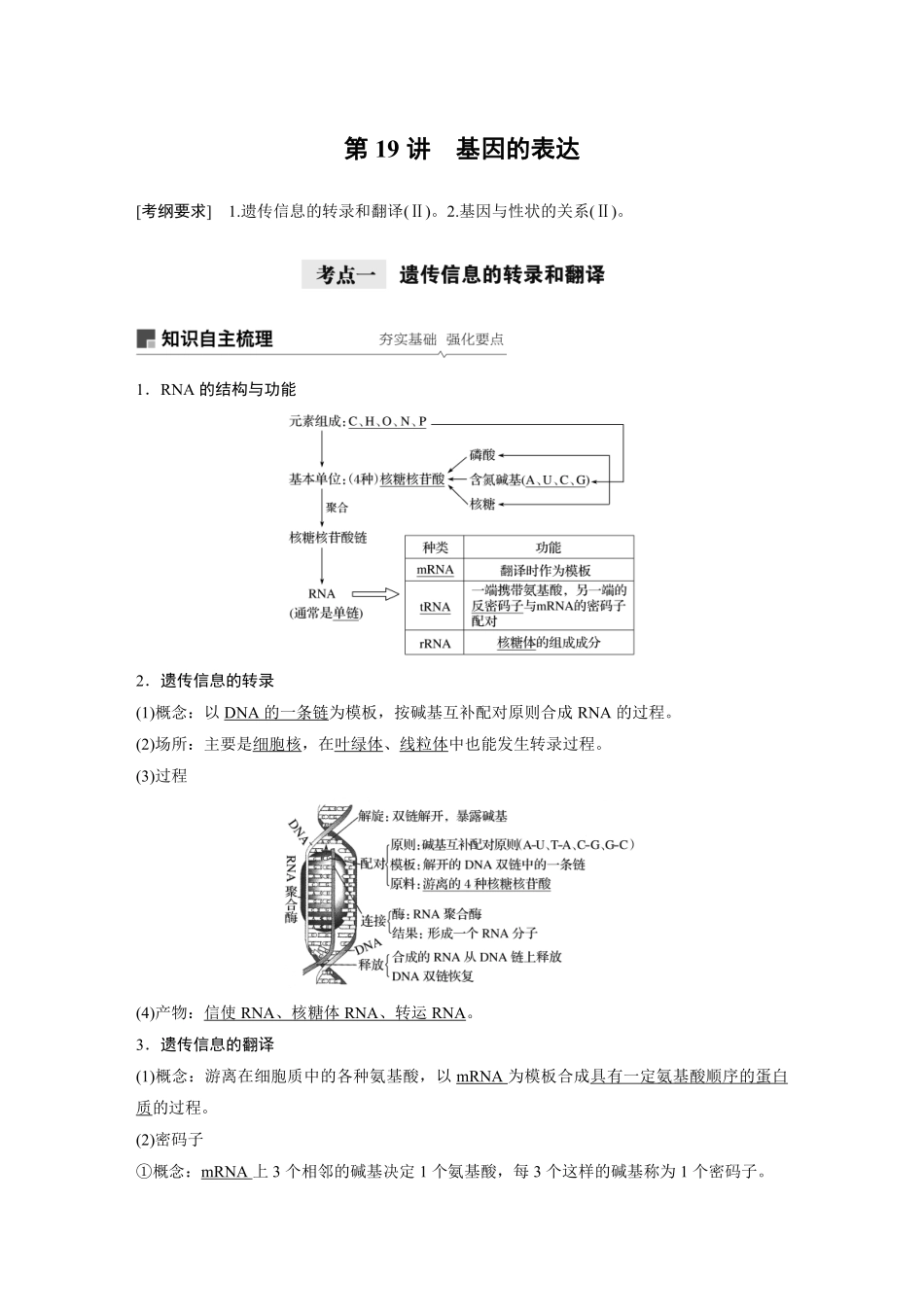 高考生物一轮复习讲义 第6单元 第19讲　基因的表达.pdf_第1页