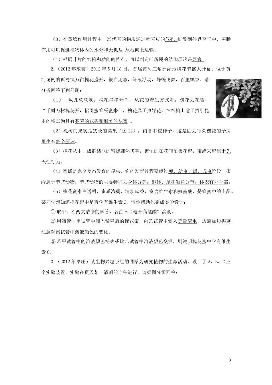 2020年中考会考生物复习绿色植物对生物圈有重大作用知识点总结  教材小帮手shop290729671.taobao.com.doc_第3页