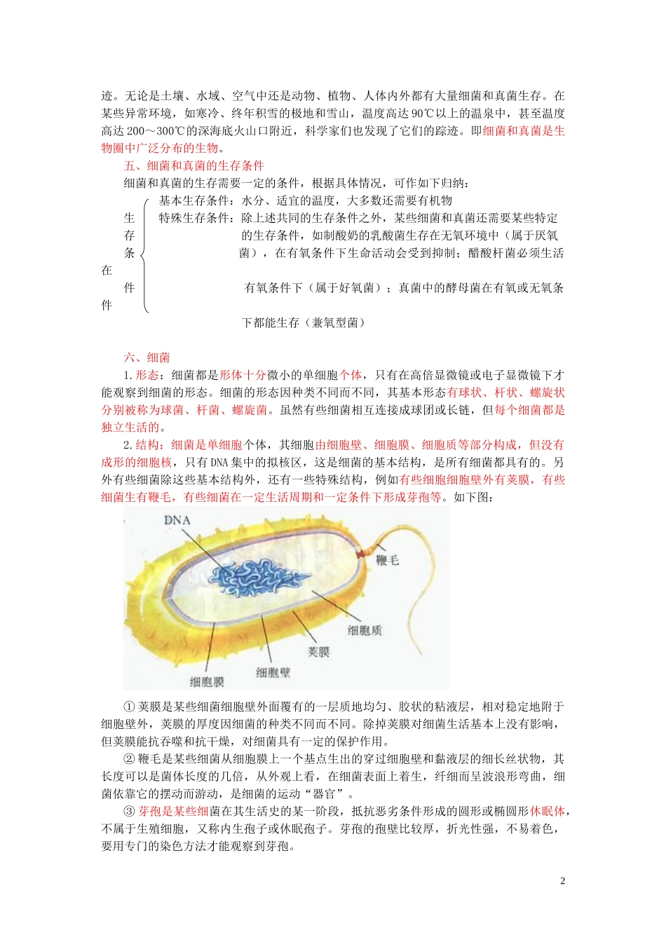 2020年中考会考生物复习细菌、真菌和病毒知识点总结  教材小帮手shop290729671.taobao.com.doc_第2页