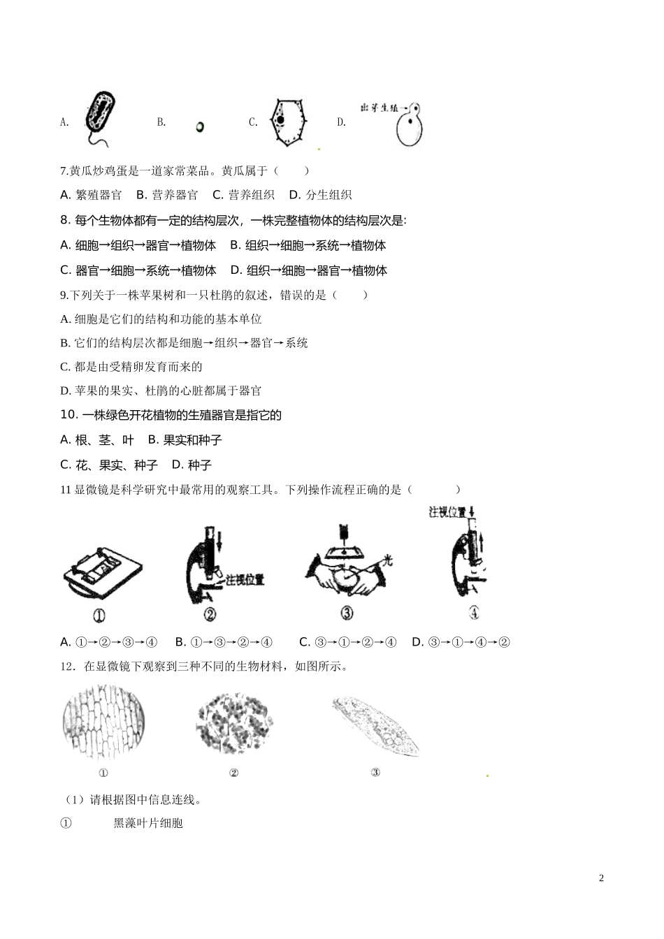 专题01 生物体的结构层次（原卷版）.DOC_第2页