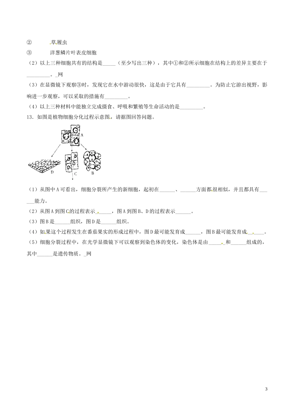 专题01 生物体的结构层次（原卷版）.DOC_第3页