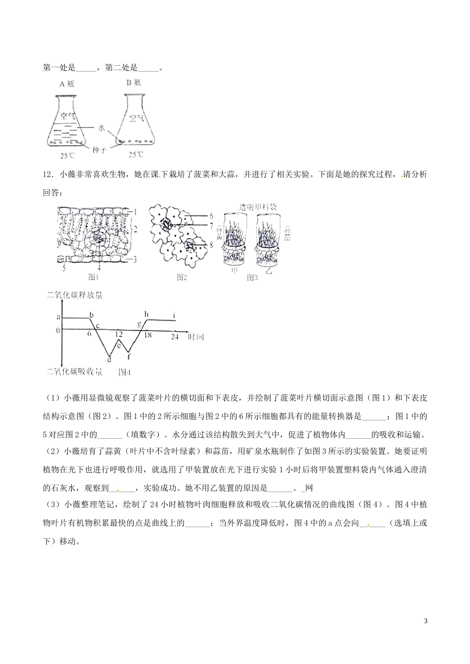 专题03 绿色开花植物的一生（原卷版）.DOC_第3页