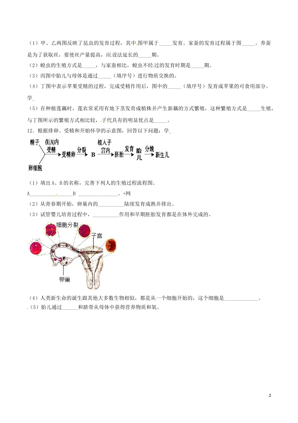 专题12  人的生殖和发育（原卷版）.doc_第2页