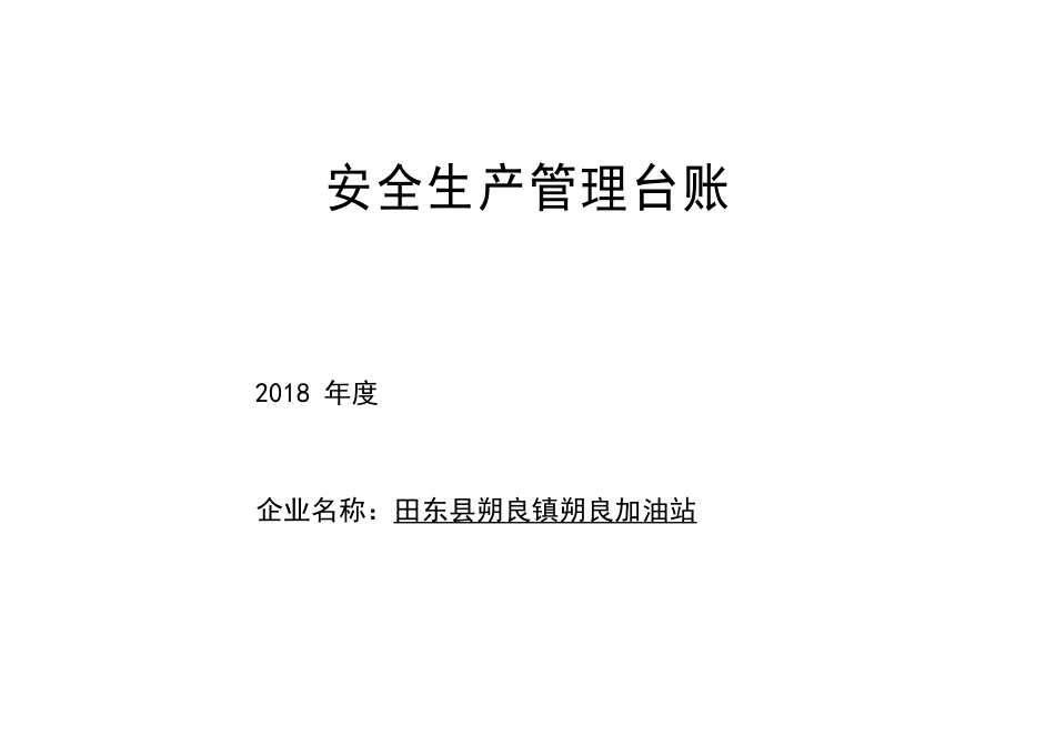 08-朔良加油站安全生产管理台帐.doc_第1页