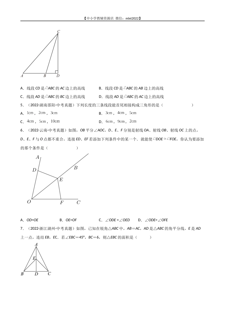 专题11 平行线与三角形-2022年中考数学真题分项汇编（全国通用）（原卷版）.docx_第2页