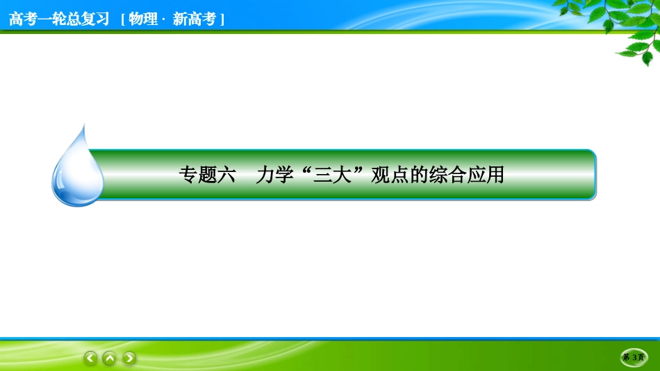 名师伴你行一轮总复习物理(新高考)专题6.ppt_第3页