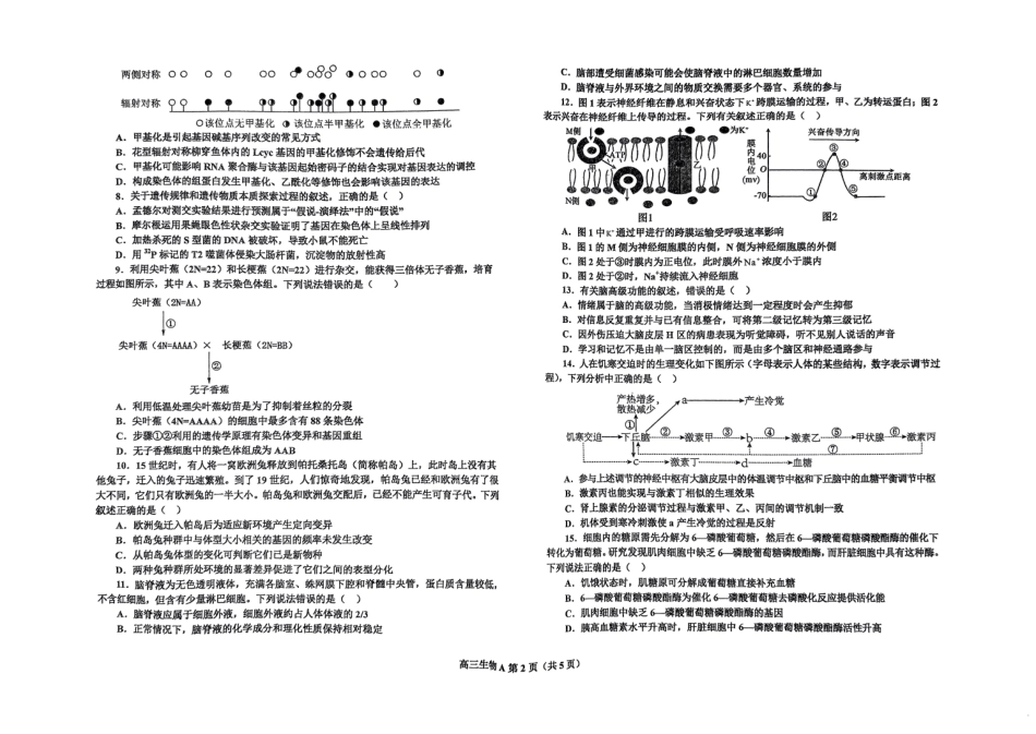 辽宁省鞍山市普通高中2025届高三年级上学期第三次月考生物.pdf_第2页