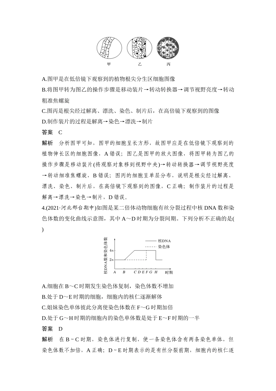 热点微练12 细胞有丝分裂时期的判断-高考生物热点微练.docx_第3页