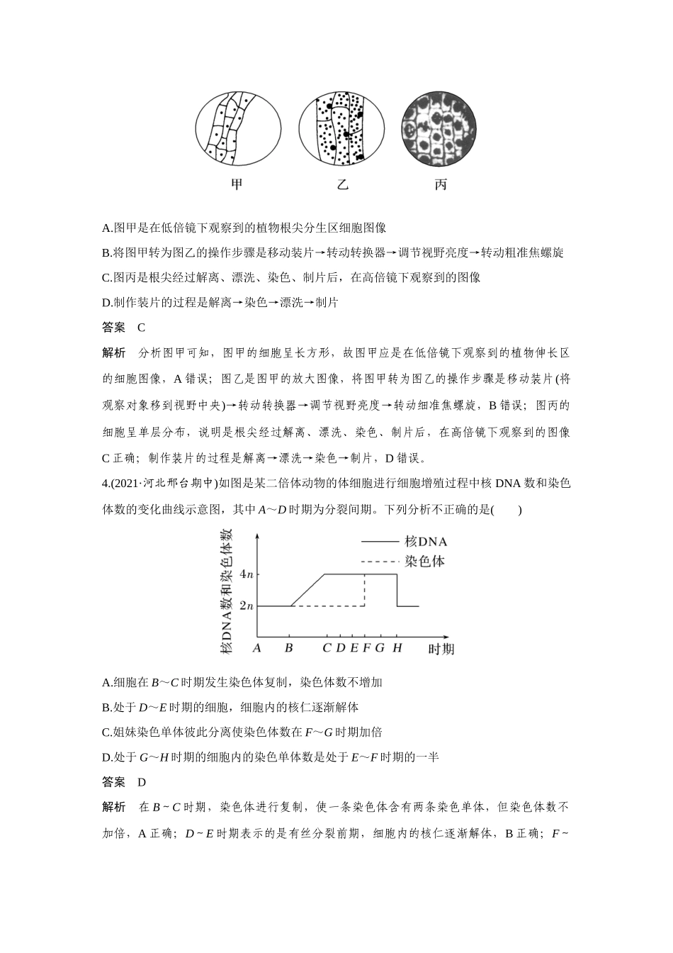 热点微练12　细胞周期中各分裂时期的判断-高考生物热点微练（新高考版）.docx_第3页