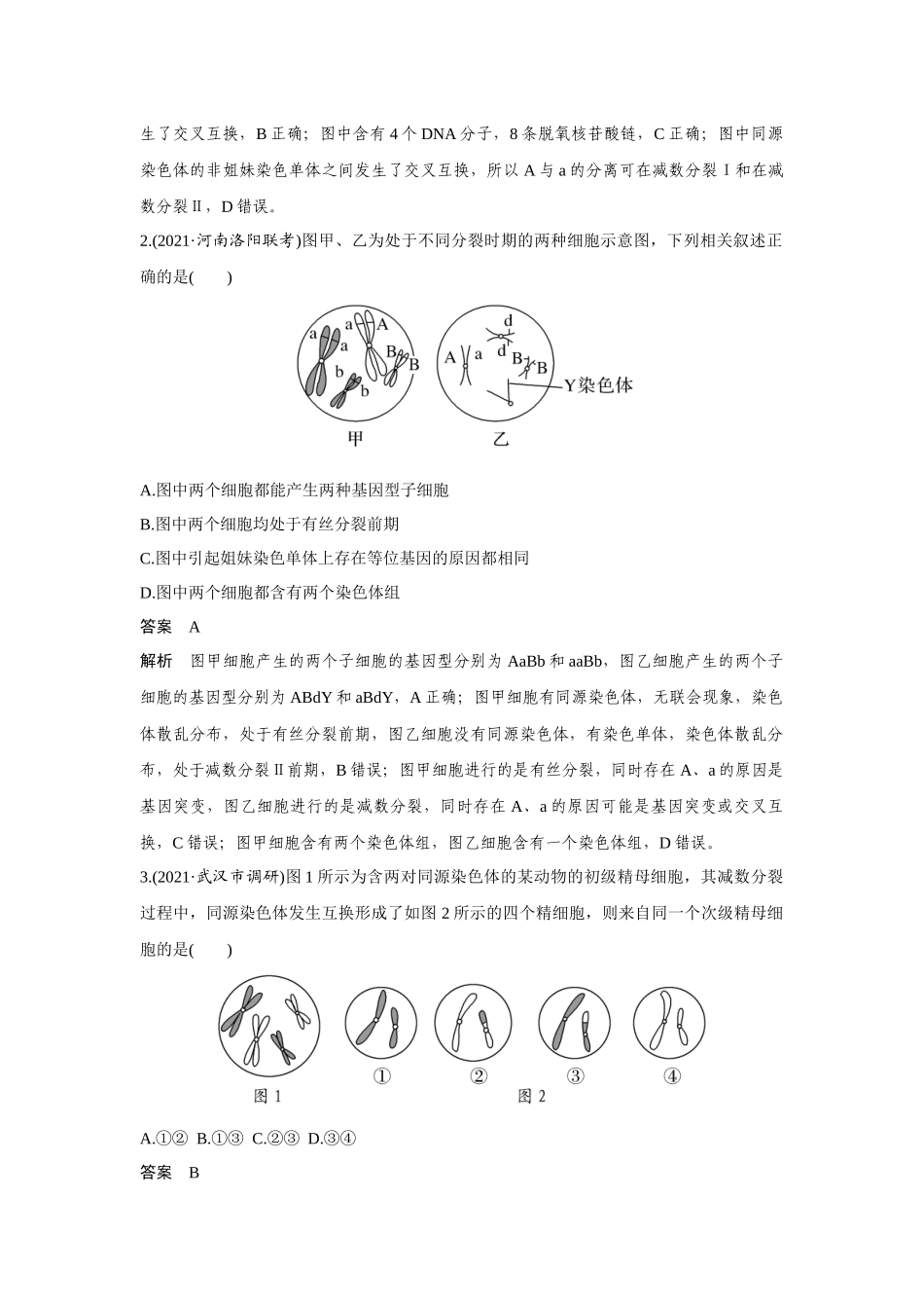 热点微练13　细胞分裂图像中变异类型的判断-高考生物热点微练（新高考版）.docx_第2页