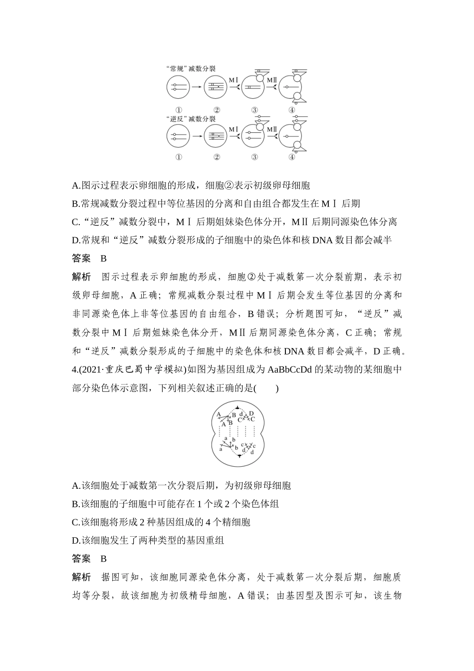 热点微练13 细胞分裂图像中变异类型的判断-高考生物热点微练.docx_第3页