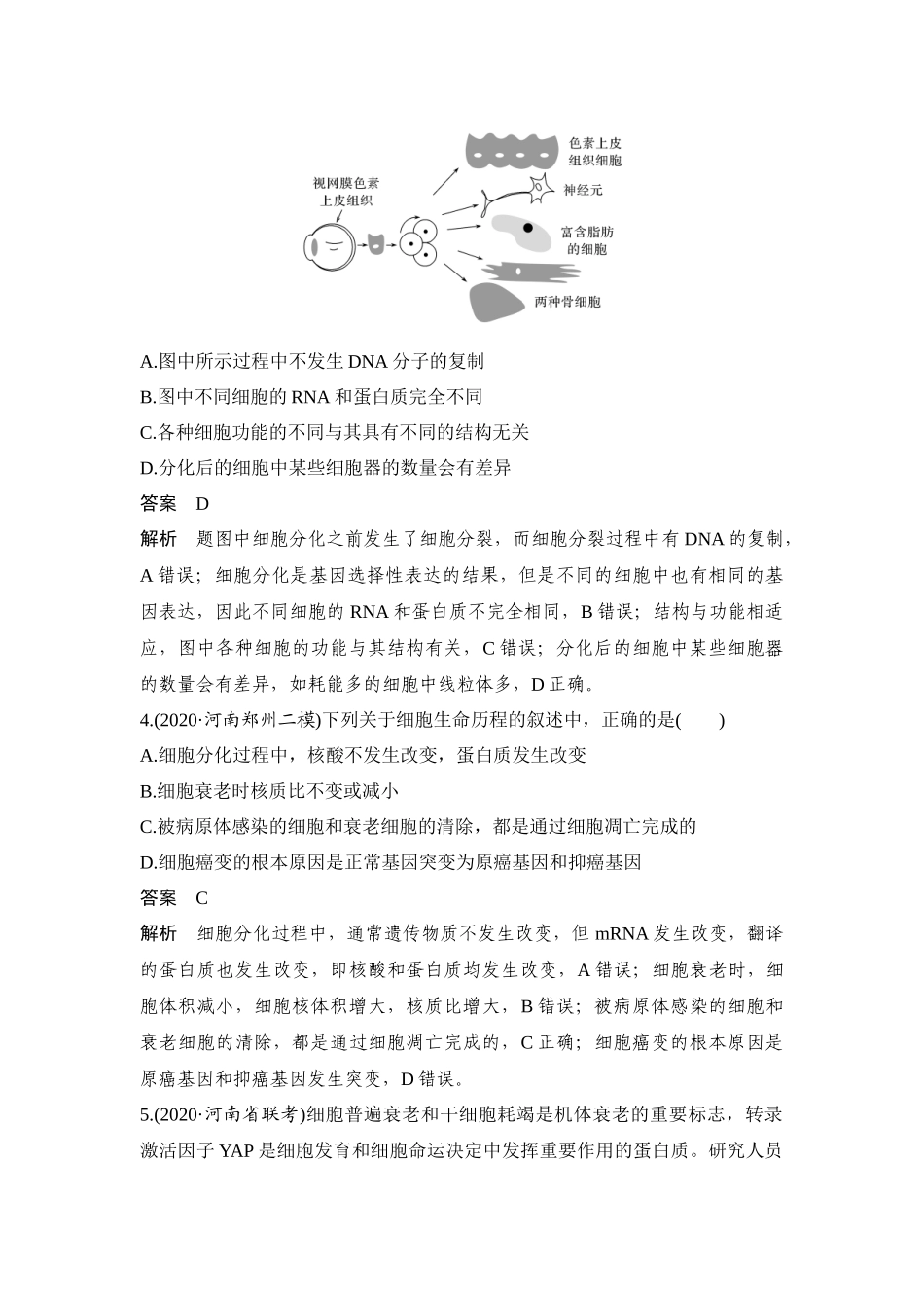 热点微练14 细胞分化、衰老、凋亡、癌变与人体健康-高考生物热点微练.docx_第3页