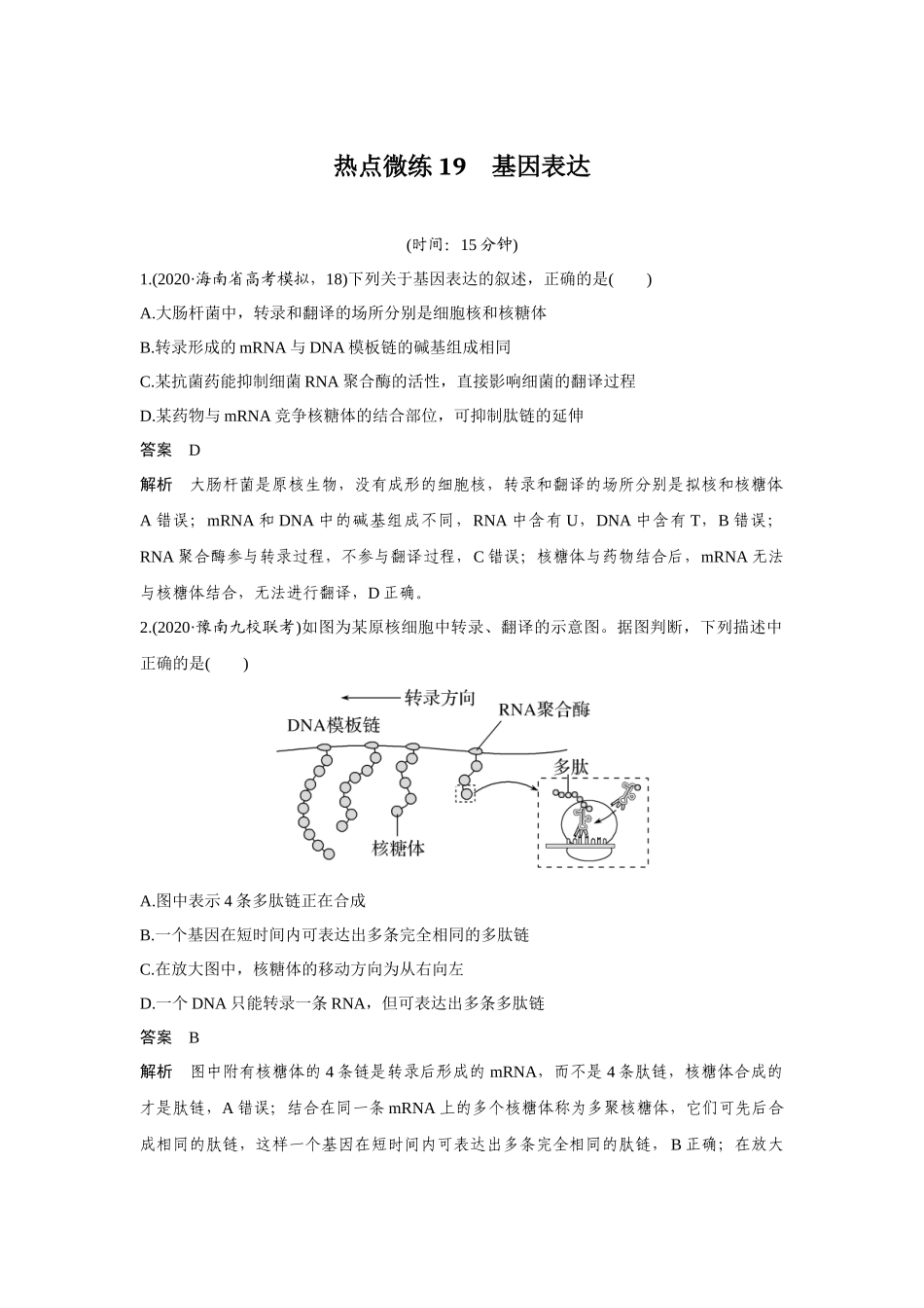 热点微练19　基因表达-高考生物热点微练（新高考版）.docx_第1页