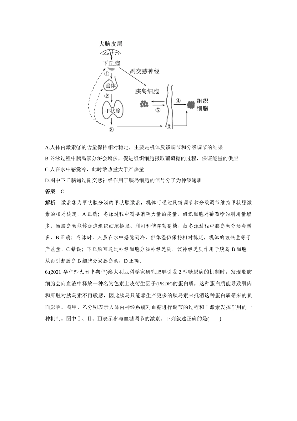 热点微练23　血糖调节-高考生物热点微练（新高考版）.docx_第3页