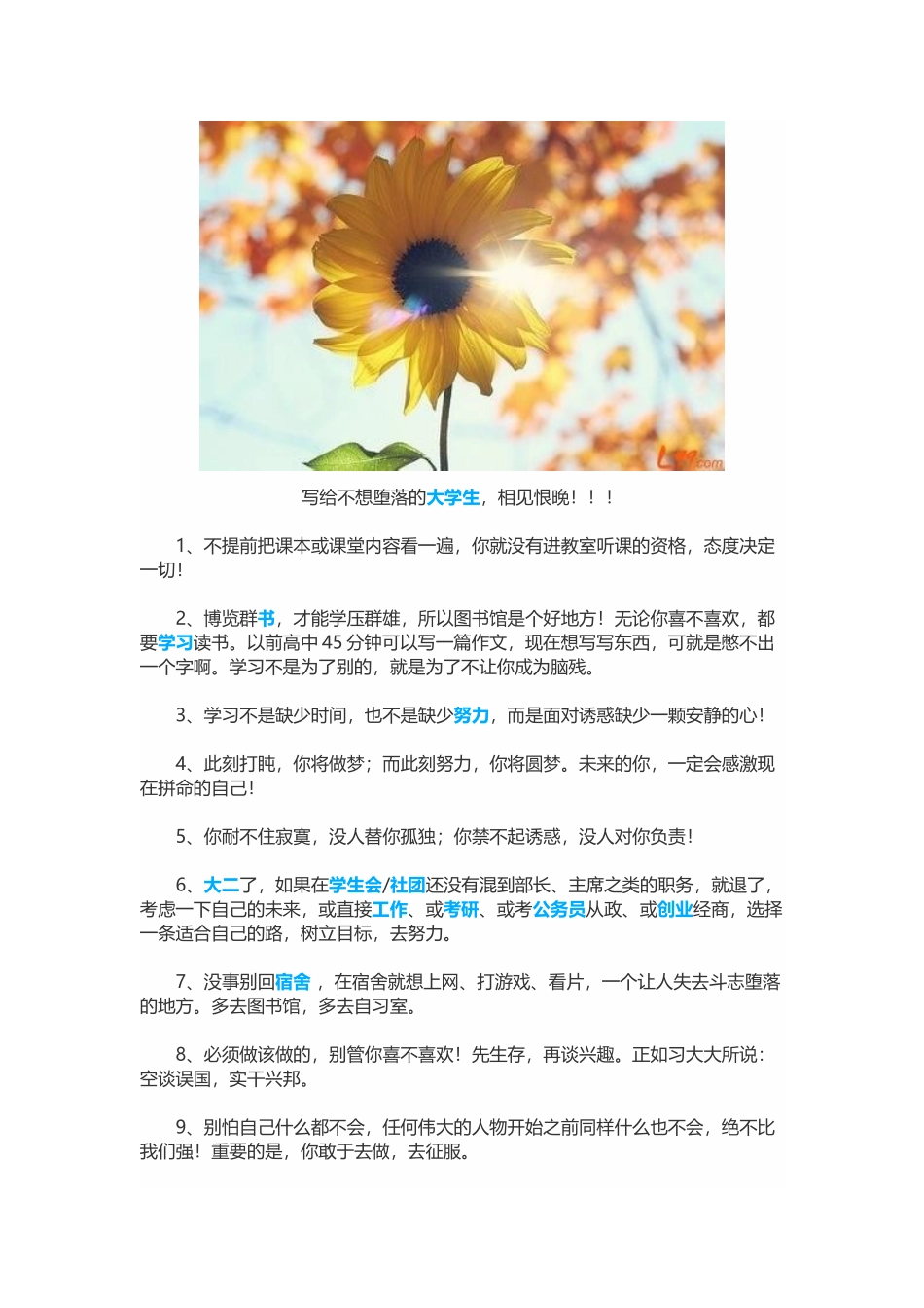 写给不想堕落的大学生，相见恨晚.docx_第1页