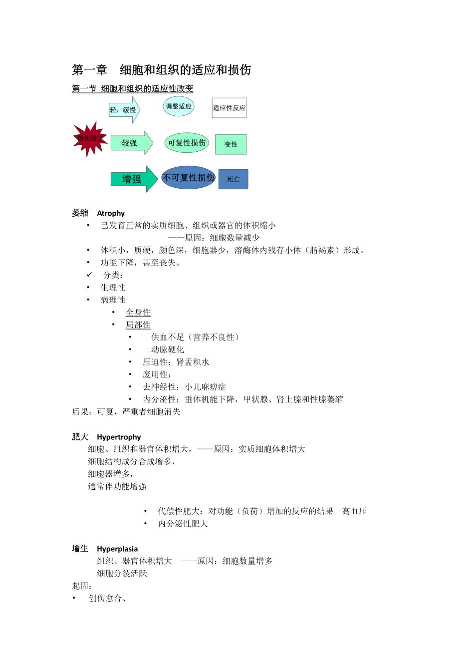 病理 总论 知识大纲.pdf_第1页