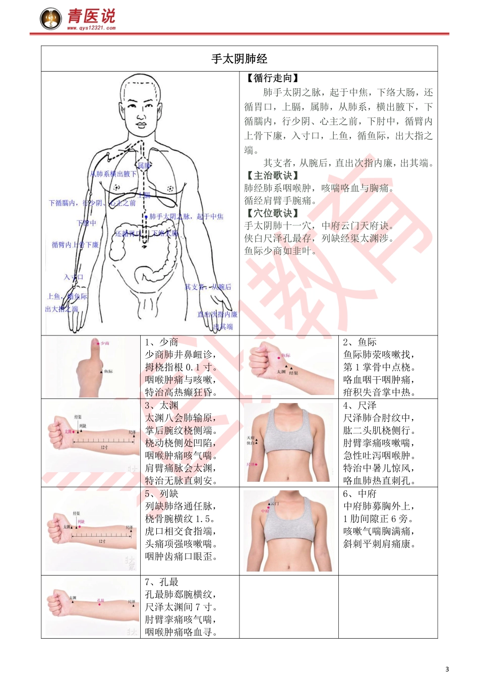 针灸考点《蓝研知彼》研霸笔记-【青医说】.pdf_第3页