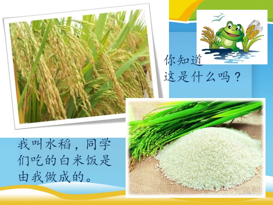 《光盘行动》ppt.pptx_第2页