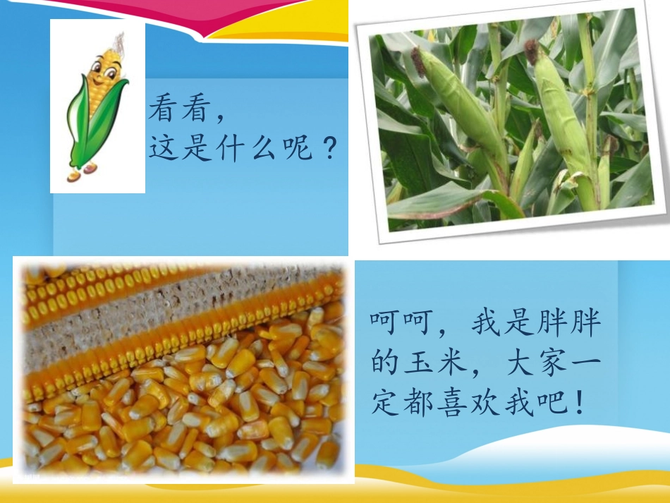 《光盘行动》ppt.pptx_第3页
