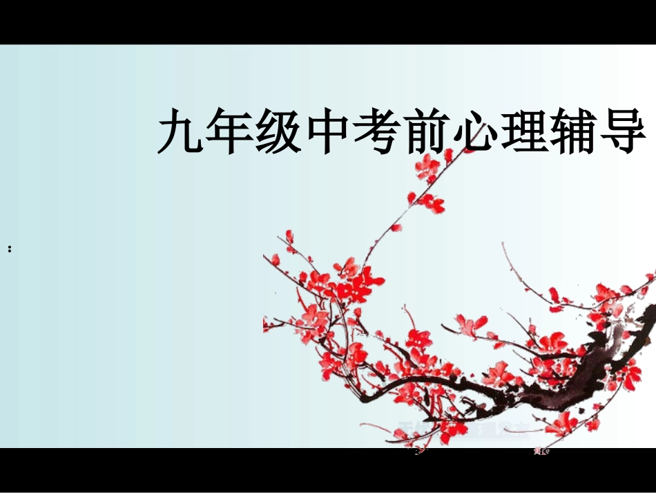 九年级中考前心理辅导.ppt_第2页