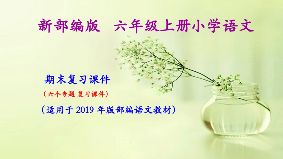 六年级上册语文期末复习课件(按专题分类复习)PPT.ppt_第1页