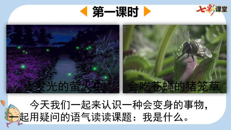 我是什么.pptx_第2页