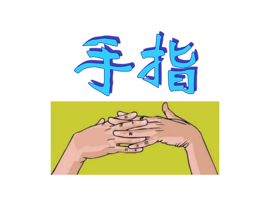 《手指》PPT课件.ppt_第1页